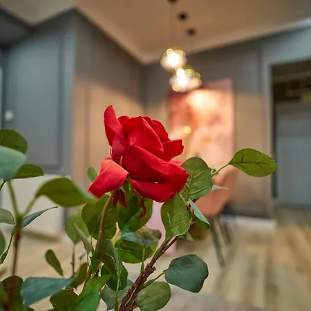 Apartament Cozy Glow Loft Bucureşti