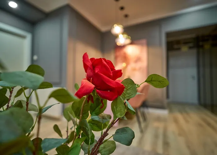 Apartman Cozy Glow Loft Bukarest